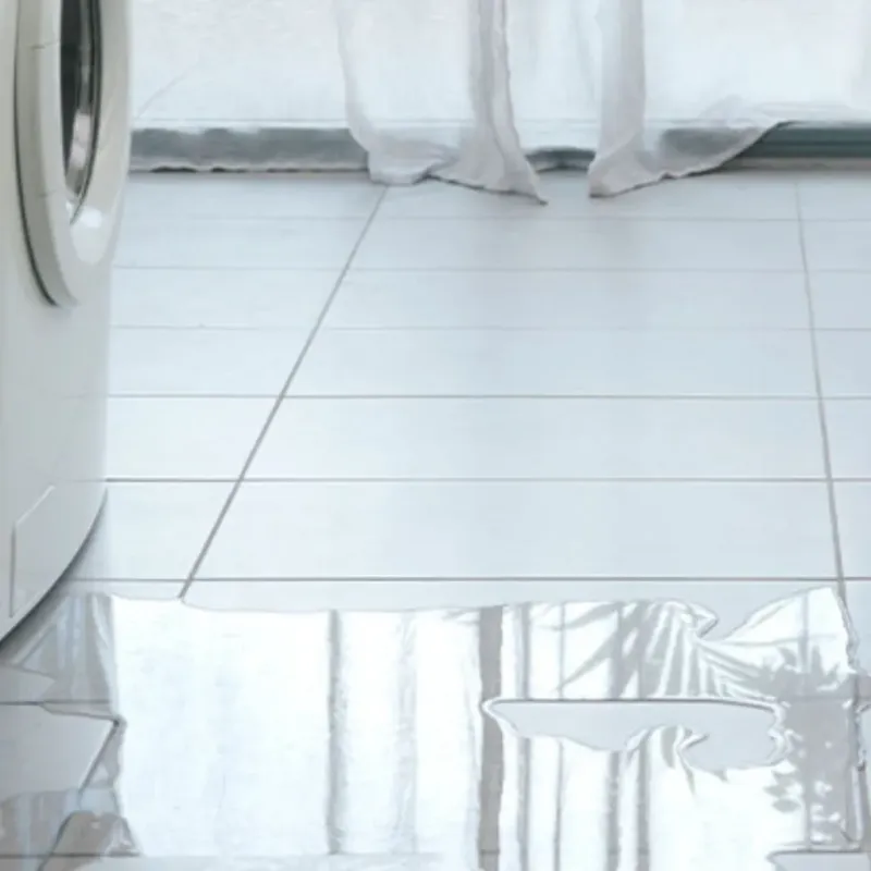 Appliance Leak Cleanup in Indianapolis, IN