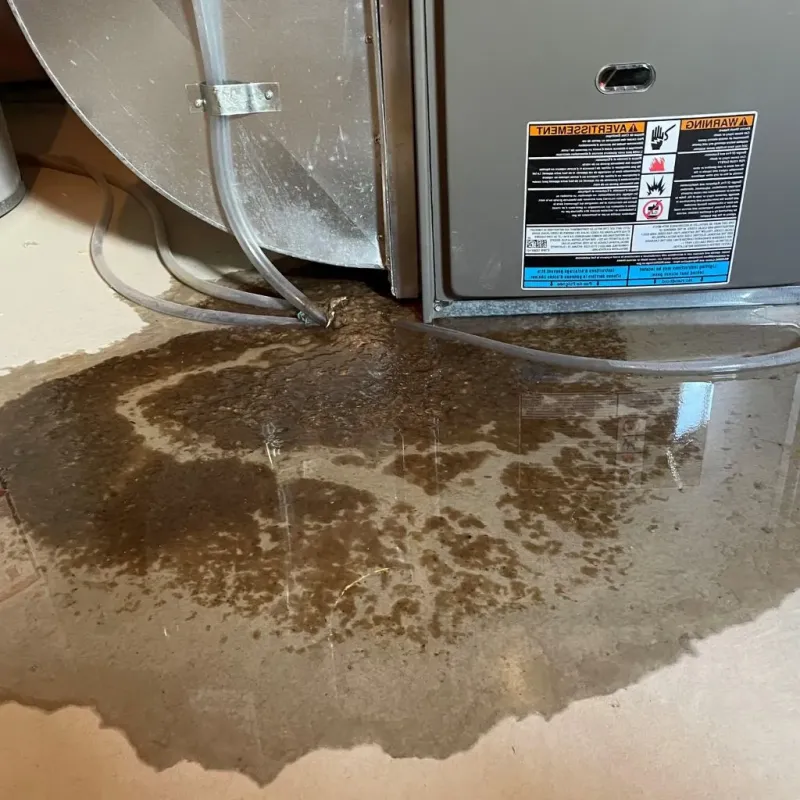 Pipe Burst and Leak Restoration in Indianapolis, IN